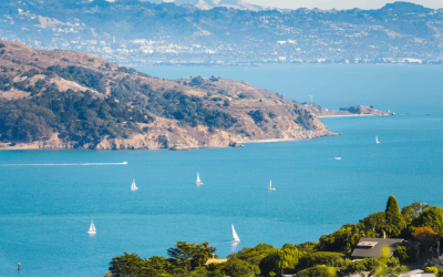 Natural Wonders in San Francisco: Beaches, Parks, Trails & More