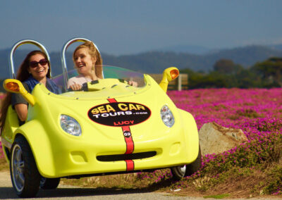 GoCar Tours | Sightseeing & Story Telling Car 2Q