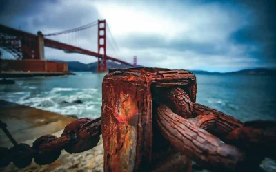 San Francisco Events Happening This November 2025 | GoCar Tours
