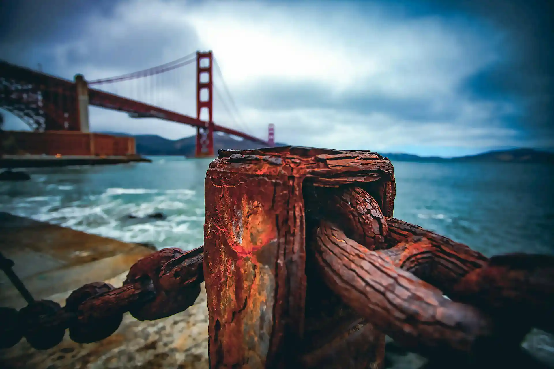San Francisco Events Happening This November 2025 | GoCar Tours