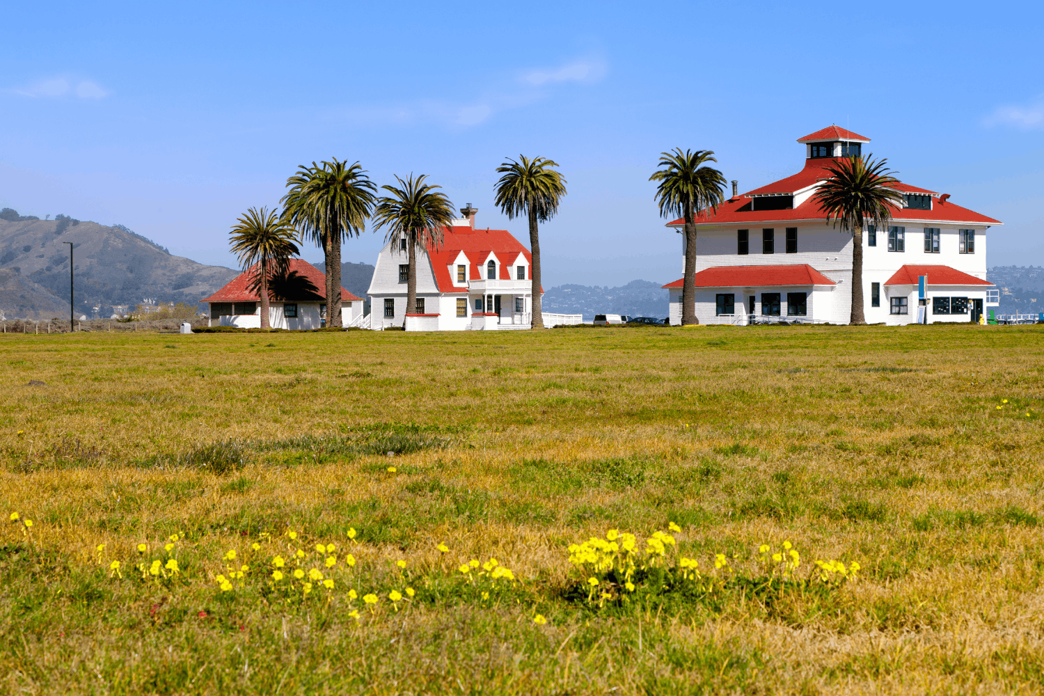 crissy field view in san francisco (1) crissy field in san francisco
