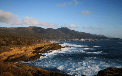 How to Explore 17-Mile Drive: Must-See Stops & Ways to Experience It