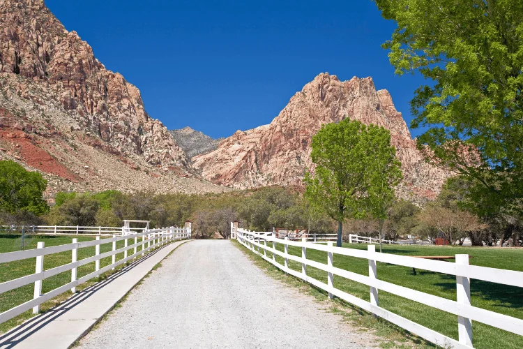 attractions near red rock canyon Spring Mountain Ranch State Park near red rocks canyon